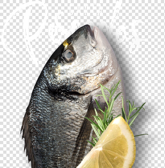 Transparent Pescado Png   Oily Fish  Png DownloadTransparent PNG