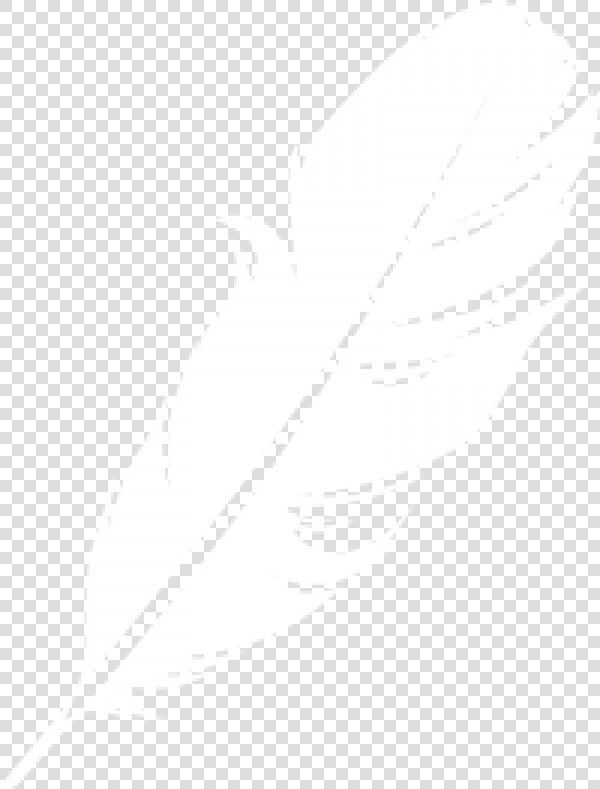 Feather Clipart Logo Image Download   White Feather Logo Png  Transparent PngTransparent PNG