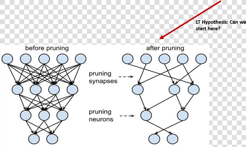 Pruning Neural Network  HD Png DownloadTransparent PNG