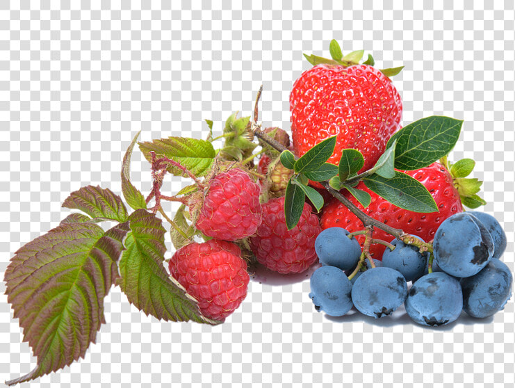 Blueberry  Raspberry  Strawberry  Fruit   Blueberry And Strawberry Png  Transparent PngTransparent PNG