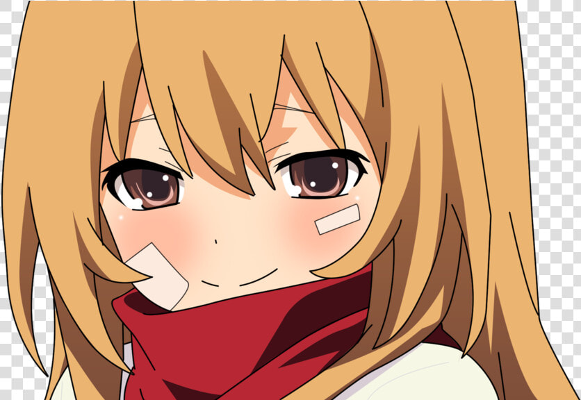 Transparent Taiga Aisaka Png  Png DownloadTransparent PNG