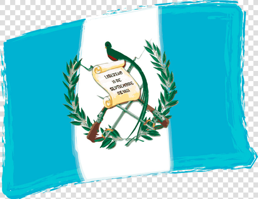 Bandera De Guatemala Png Transparent Background   Del Instituto Por Cooperativa  Png DownloadTransparent PNG