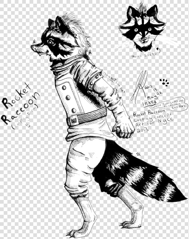 Racoon Clipart Chester  HD Png DownloadTransparent PNG