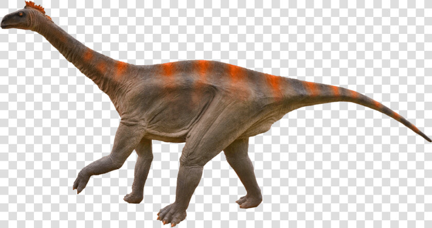 Diplodocus Png Transparent   Diplodocus Png  Png DownloadTransparent PNG