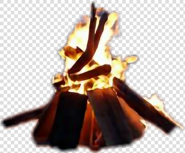 Fogata Png   Png Download   Fire Near The Sea  Transparent PngTransparent PNG