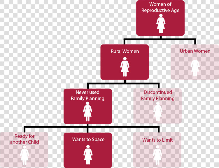 Dmp Audience Segmentation  HD Png DownloadTransparent PNG