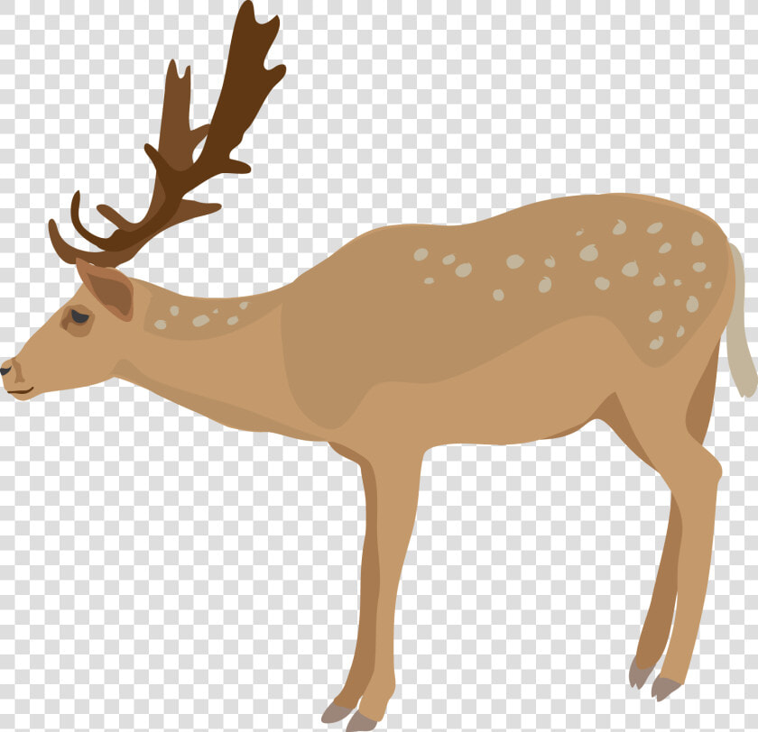 Buck Clipart Transparent Background   Deer Clipart Transparent Background  HD Png DownloadTransparent PNG