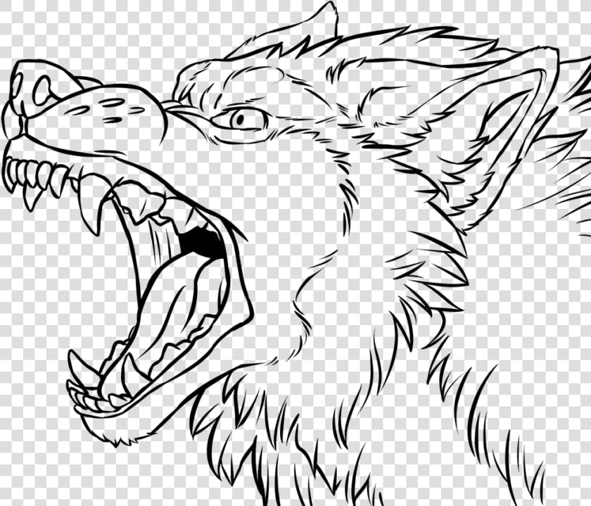 Transparent Wolf Face Clipart   Wolf Snarling Side View Drawing  HD Png DownloadTransparent PNG