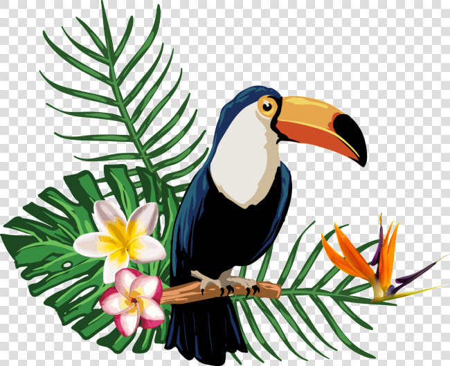  summertime  tropical  summer  birdseffect  summerfun   Tropical Summer Clipart Png  Transparent PngTransparent PNG