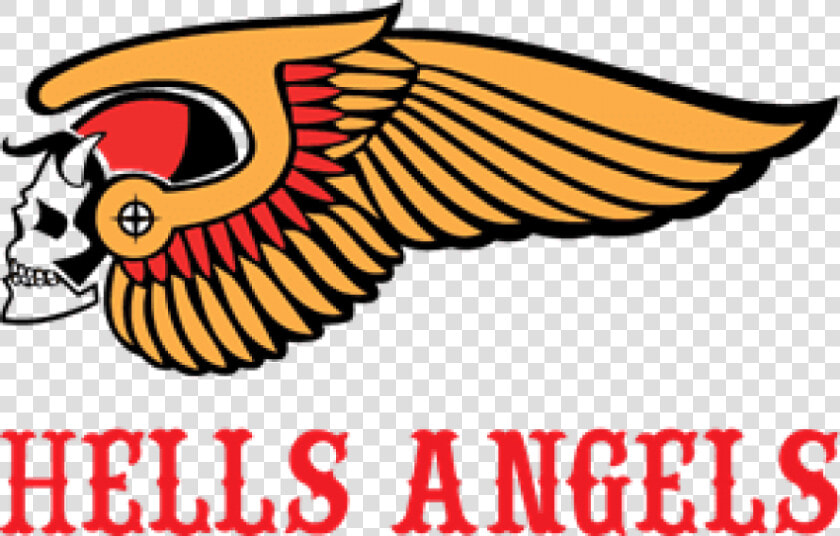 Transparent Angel Wings Png Clipart   Hells Angels Logo Png  Png DownloadTransparent PNG