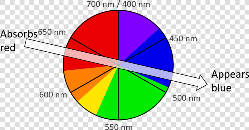 A Color Wheel Accurately Representing The Wavelength  HD Png DownloadTransparent PNG