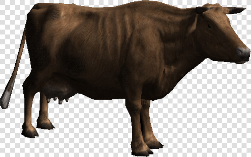 Free Png Download Cow Png Images Background Png Images  Transparent PngTransparent PNG