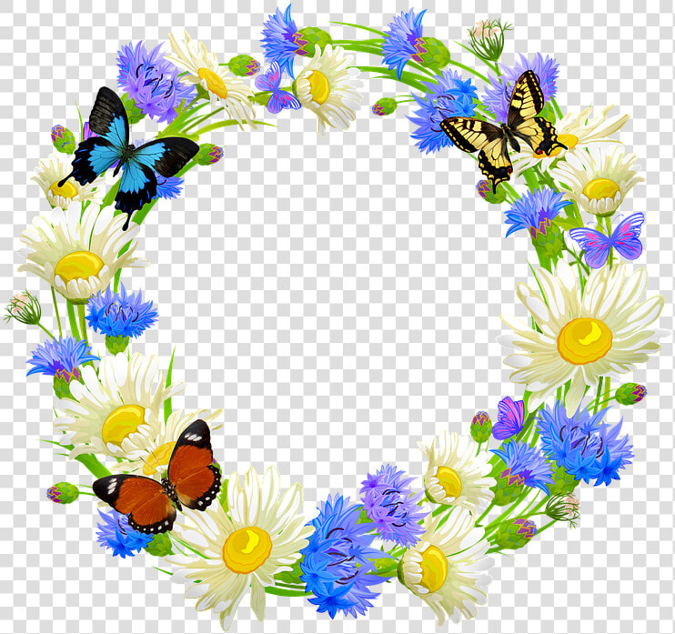 Flower Wreath  Butterflies  Daisy  Easter  Flower   Flores Y Mariposas Imagenes  HD Png DownloadTransparent PNG