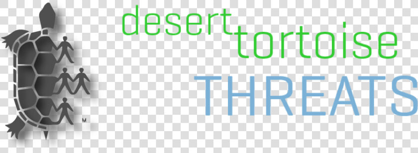 Desert Toroise Preserve Committee  Inc   Graphics  HD Png DownloadTransparent PNG