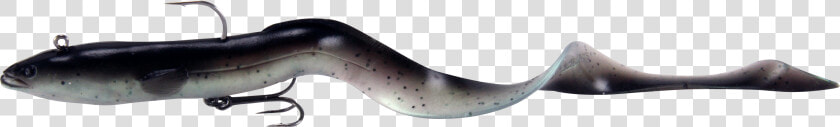 Sand Eel  HD Png DownloadTransparent PNG