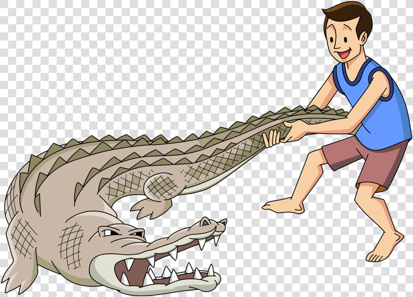 Transparent Cartoon Alligator Png   Alligators  Png DownloadTransparent PNG