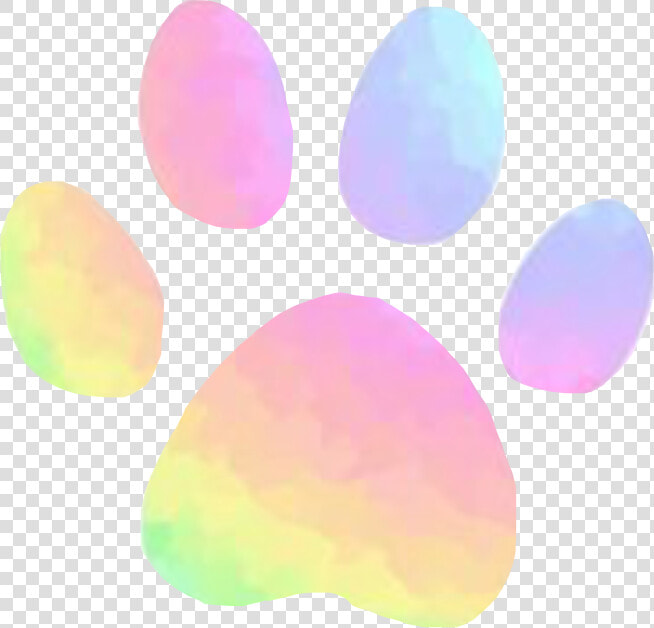  pastel  paw  print  rainbow  aesthetic  cute  pink   Pastel Dog Paw Print  HD Png DownloadTransparent PNG