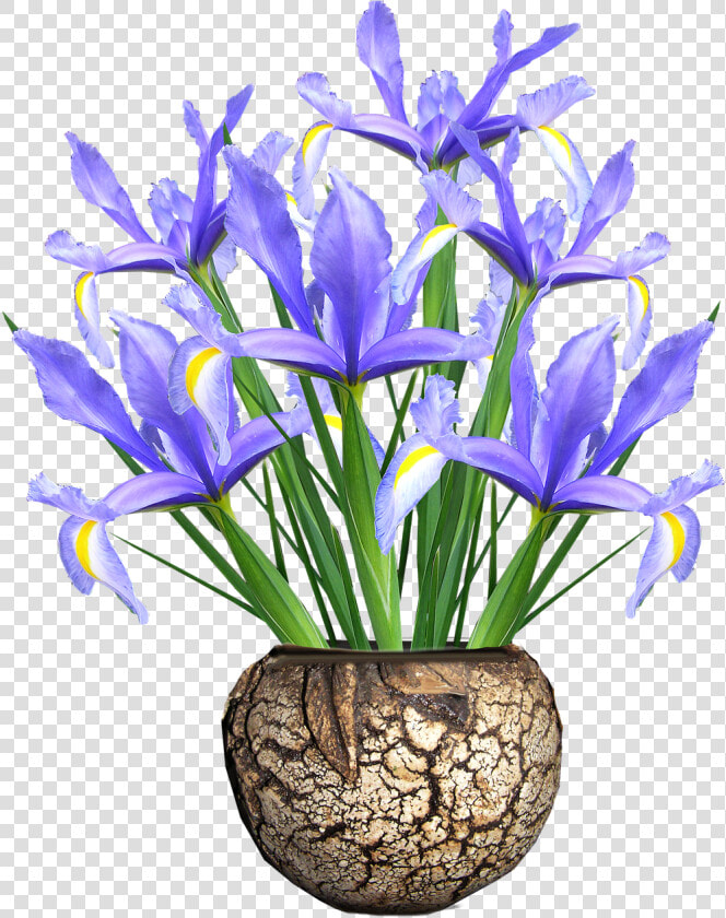 Vase   Png Download   Flower Vase Png Hd  Transparent PngTransparent PNG