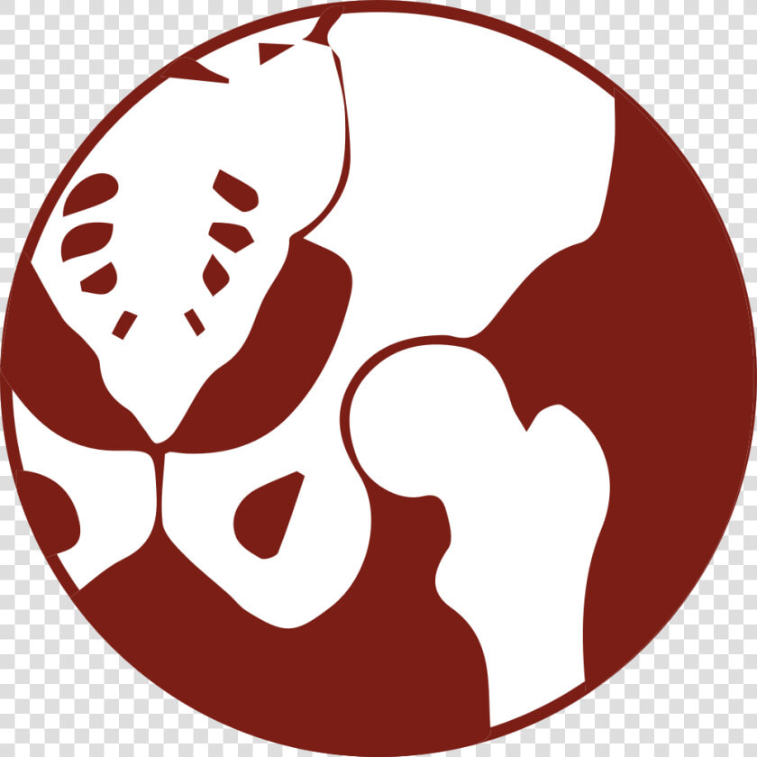 Hip Surgery   Hip Replacement Surgery Icon  HD Png DownloadTransparent PNG