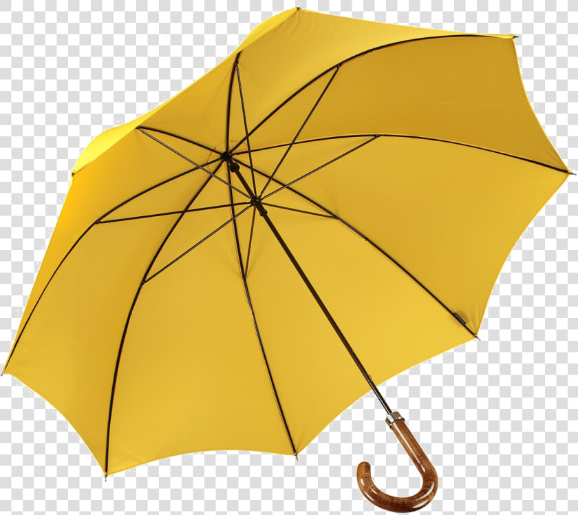 Colorful Umbrella Png Free Images   Colorful Png Free Umbrella Png  Transparent PngTransparent PNG