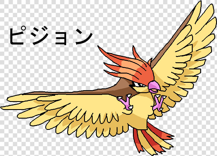 017 Pidgeotto   Four Get Me A Nots  HD Png DownloadTransparent PNG