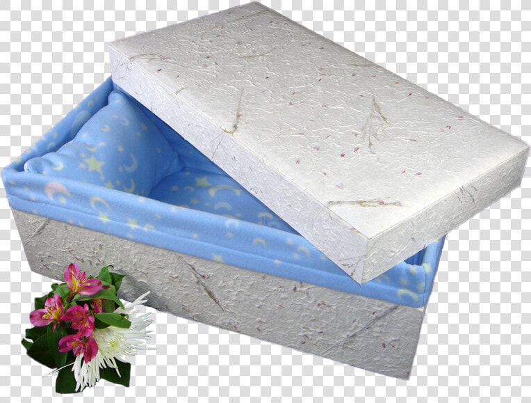 All In 1 Baby Casket  HD Png DownloadTransparent PNG