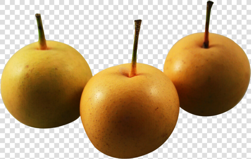 Download Asian Nashi Pear Png Image  Transparent PngTransparent PNG