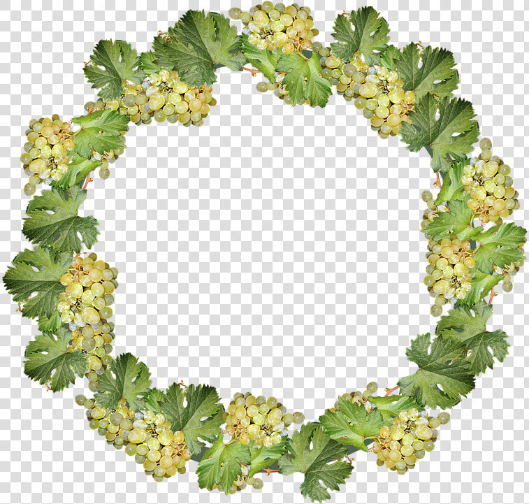 Grapes  Wreath  Border  Frame  Decoration  Cut Out   Viburnum  HD Png DownloadTransparent PNG