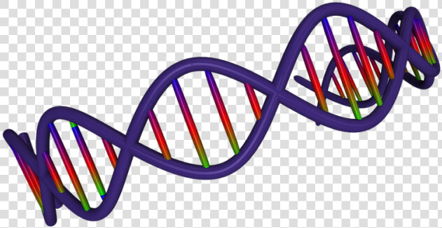 Dna Clipart Png   Risk Factors Of Lifestyle Diseases  Transparent PngTransparent PNG