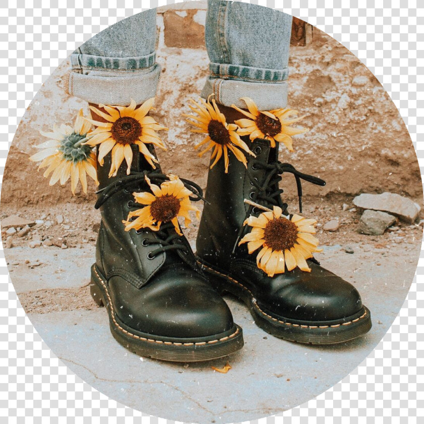  cute  cool  vibe  mood  tumblr  aesthetic  sunflower   Vintage Aesthetic Flower Backgrounds  HD Png DownloadTransparent PNG