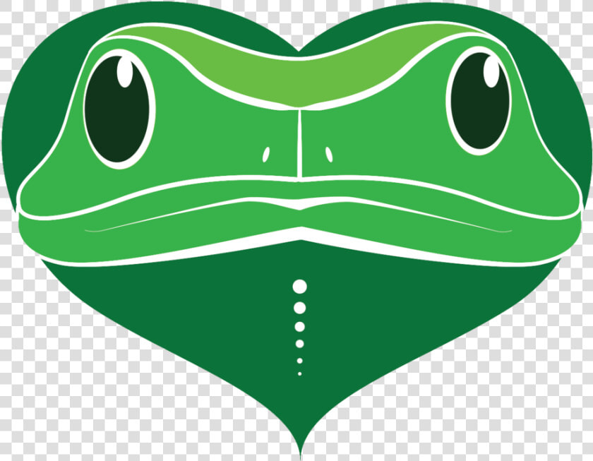 After Kambo   Frog Dmt Kambo Transparent  HD Png DownloadTransparent PNG