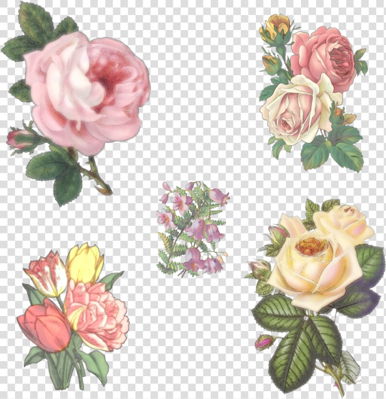 5 Vintage Flowers By Victorian lady   Vintage Flowers Drawings Png  Transparent PngTransparent PNG