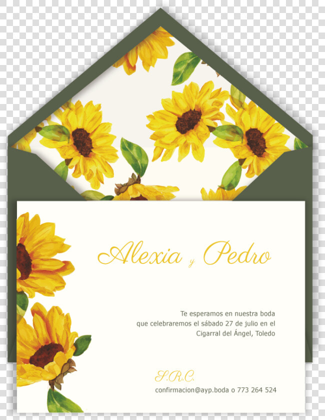 Inv Flores Amarillas Sb Verde   Sunflower  HD Png DownloadTransparent PNG