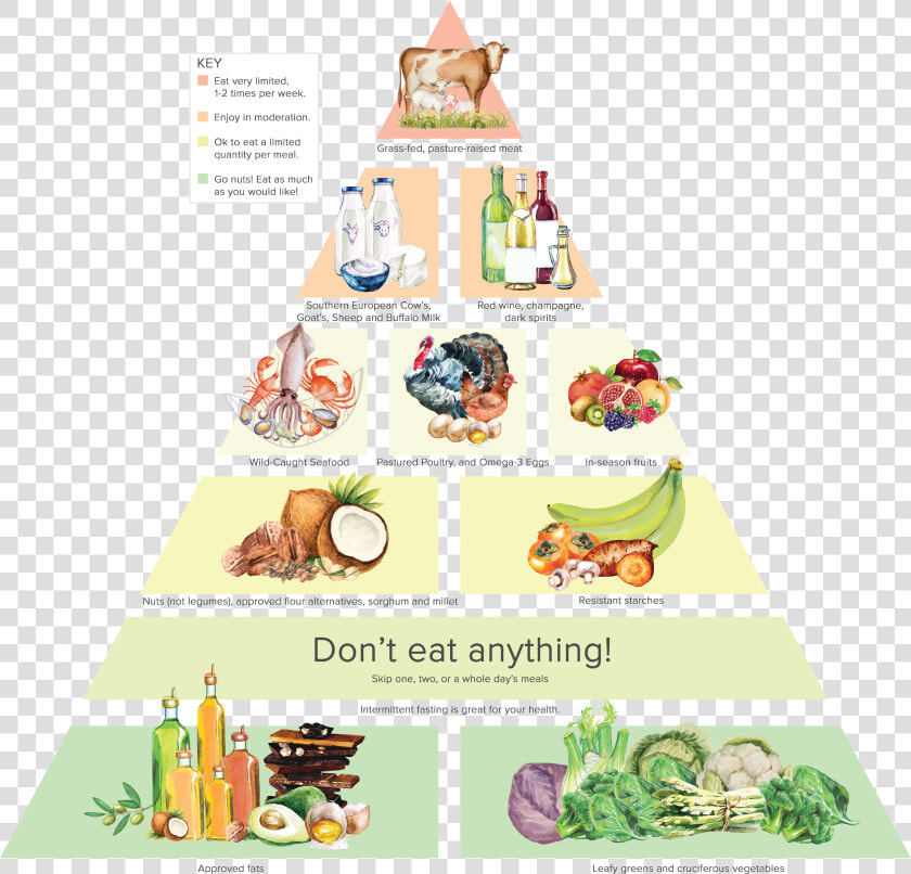 Dr Gundry  39 s Food Pyramid  HD Png DownloadTransparent PNG