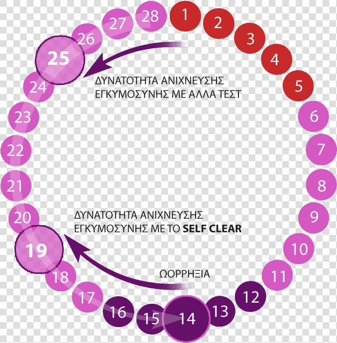 Self Clear   Τεστ Εγκυμοσύνησ Self Clear  HD Png DownloadTransparent PNG