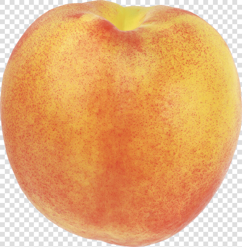 Peach Png Image   Peach With No Background  Transparent PngTransparent PNG