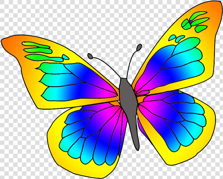 Many Colored Butterfly   Clipart Picture Of Butterfly  HD Png DownloadTransparent PNG