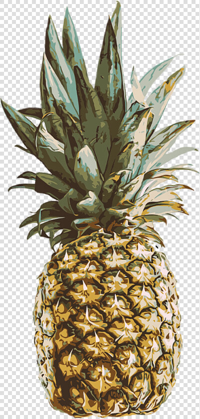  pinneapple  fruit  freetoedit  fruity  pineapple🍍   Pink Pineapple Png  Transparent PngTransparent PNG