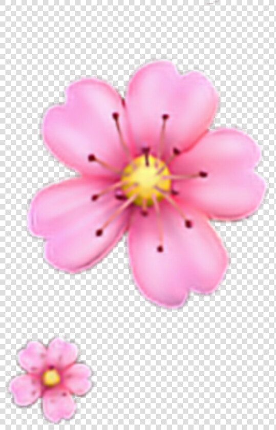 Freetoedit Floweremoji Flower Emoji Iphone Iphoneemoji   Pink Flower Emoji Png  Transparent PngTransparent PNG