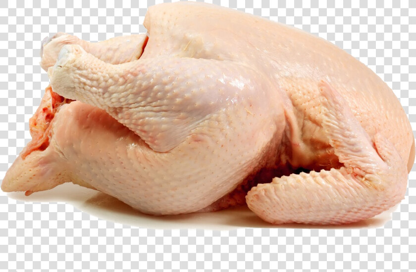 Frozen Chiken   Broiler Chicken Meat Png  Transparent PngTransparent PNG