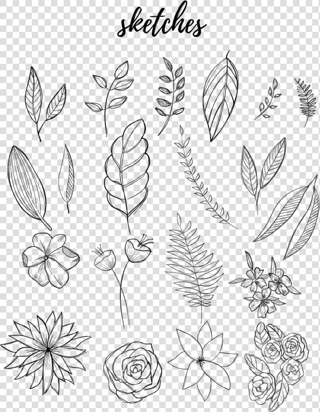 Drawing Journals Hand Drawn  HD Png DownloadTransparent PNG