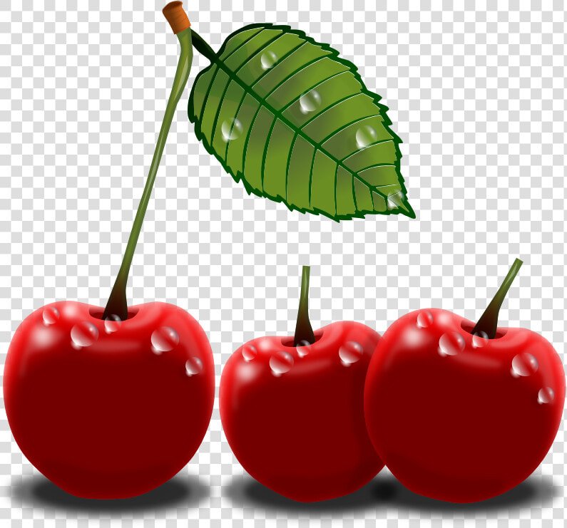 Cherry Cherries Clip Art Cherries Image Image   Cool Cherry Clipart  HD Png DownloadTransparent PNG