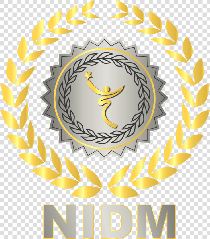 National Institute Of Digital Marketing   National Institute Of Digital Marketing Logo  HD Png DownloadTransparent PNG