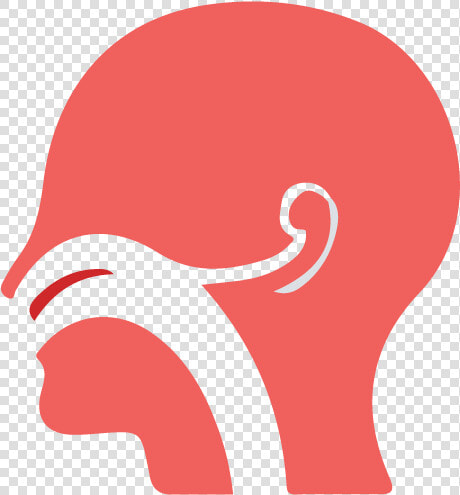 Ear Nose Throat Png  Transparent PngTransparent PNG