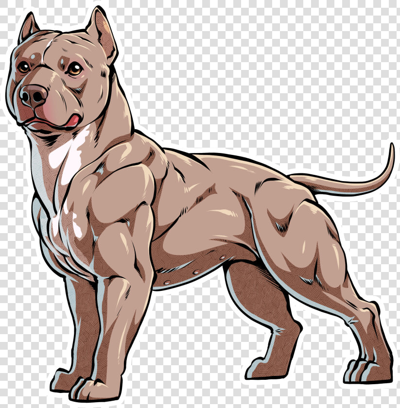 Its That Most Breeders Do Not Explain To New Owners  HD Png DownloadTransparent PNG