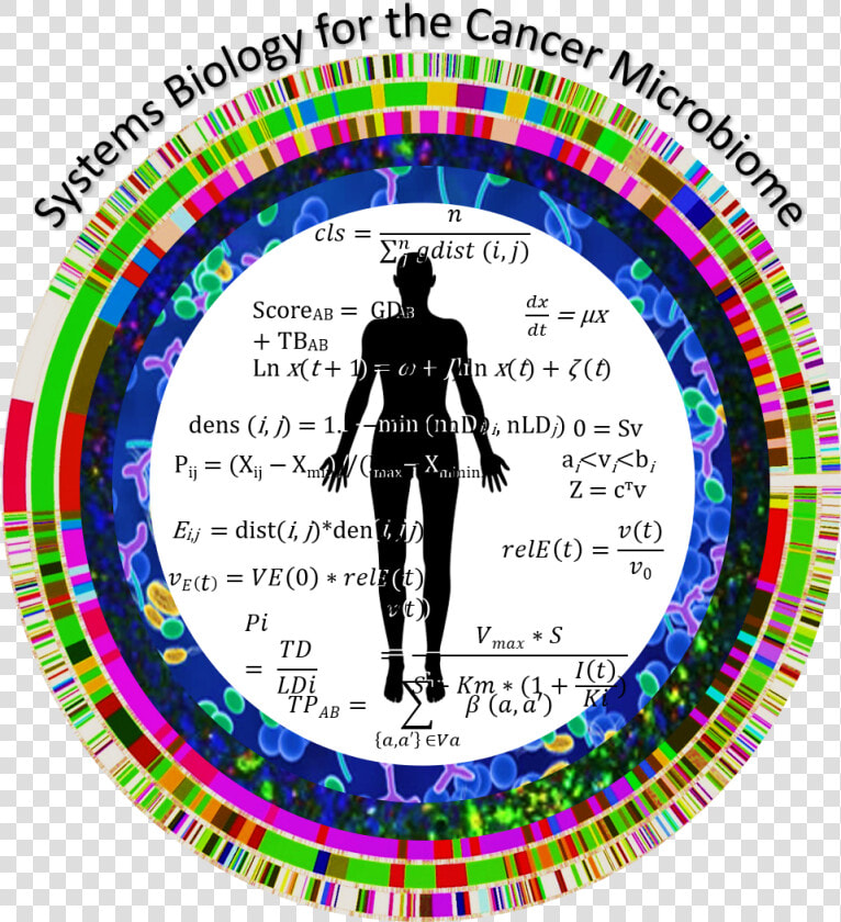 Systems Biology For The Cancer Microbiome Logo   Circle  HD Png DownloadTransparent PNG