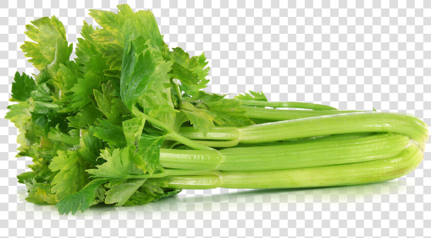 Download Celery Png File   Celery Meaning In Hindi  Transparent PngTransparent PNG