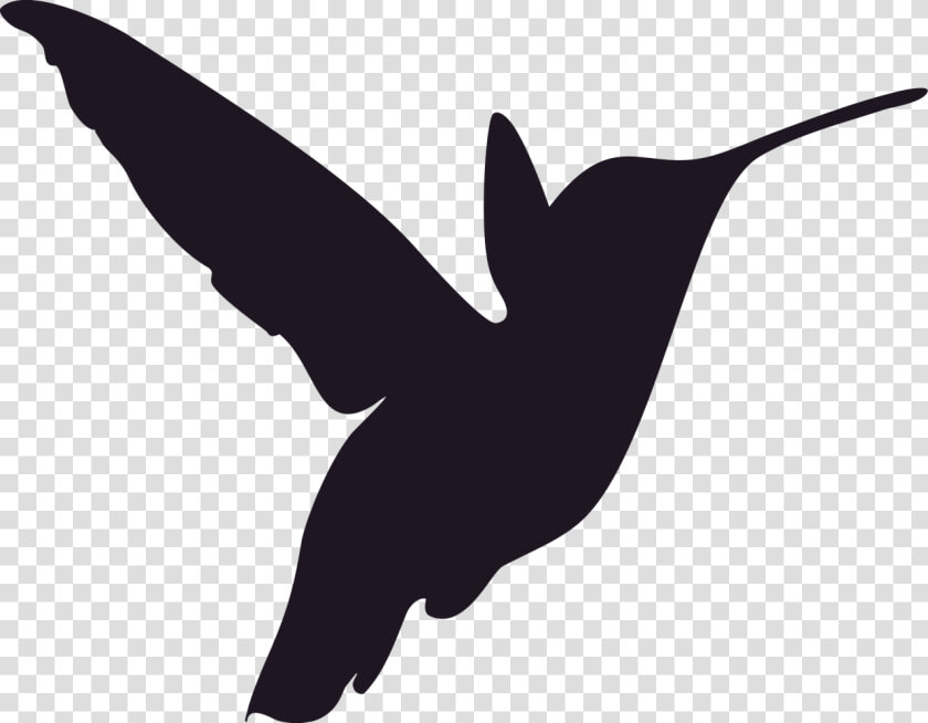 Humming Bird Png  Transparent PngTransparent PNG