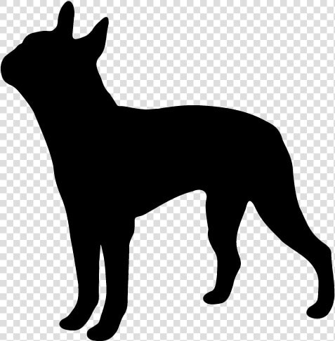 Boston Terrier Silhouette Clipart Free Clip Art Image   Boston Terrier Silhouette Png  Transparent PngTransparent PNG