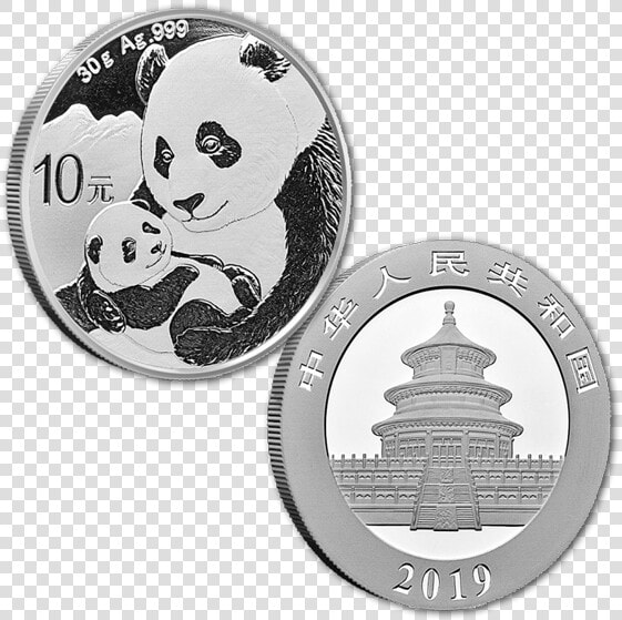 2019 30 Gram Chinese Silver Panda  HD Png DownloadTransparent PNG